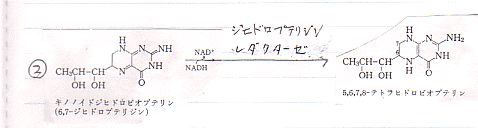 神様!わかりません、余り。